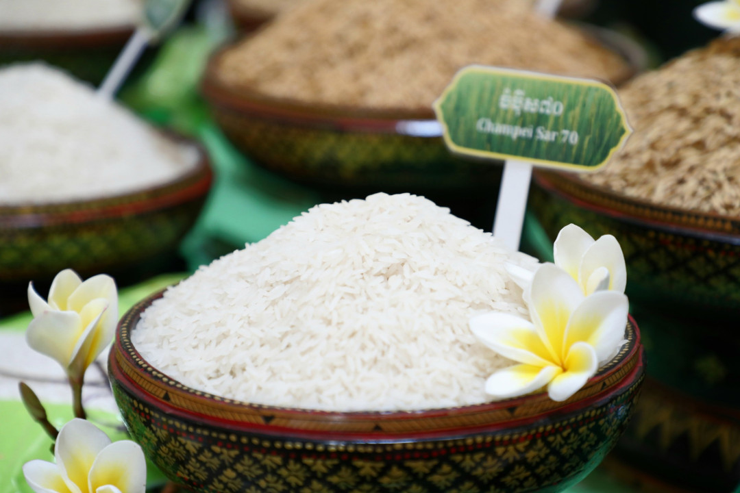 Cambodian Rice Exports to China Soar 83% in Early 2026