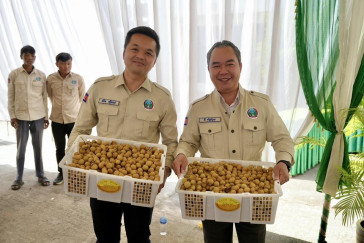 Cambodia Launches First Modern Longan Farming Community with $5M Export Deal