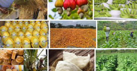 20 Potential Products Receive National Recognition