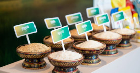 Cambodia Exports Over 568 Tonnes of Milled Rice Worth More Than $327M in First Five Months of 2026