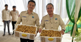 Cambodia Launches First Modern Longan Farming Community with $5M Export Deal