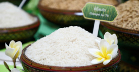 Cambodian Rice Exports to China Soar 83% in Early 2026