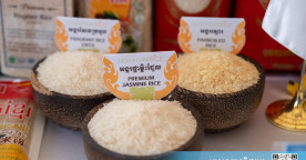 Global Rice Prices See Modest Rise Amid Significant Year-Over-Year Decline in Southeast Asia
