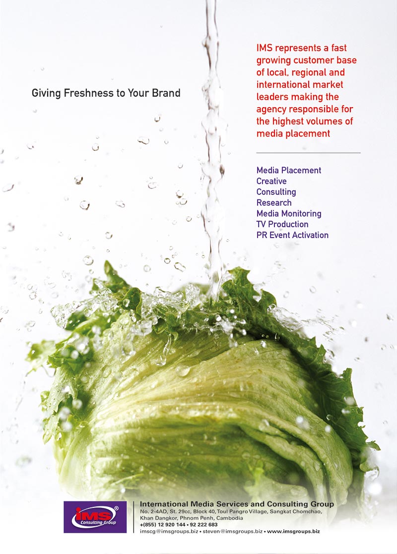 IMS-Consulting-web-ad