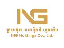 ING Holdings