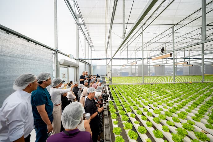 ASEAN Youth Fellowship (AYF) 2023